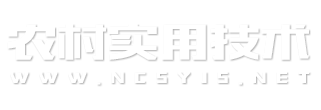 农村实用技术